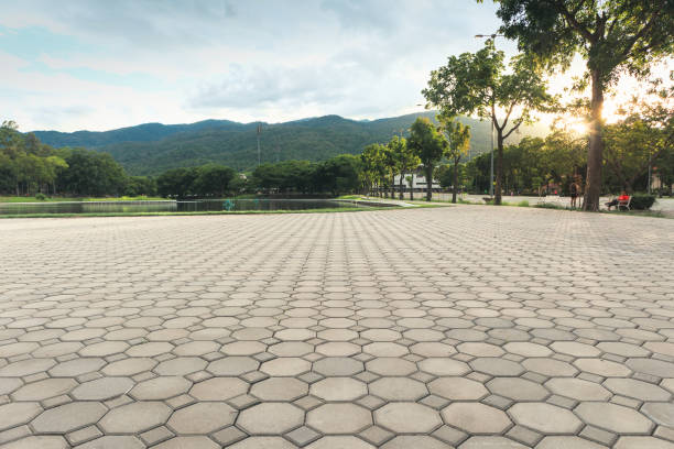 Best Professional Driveway Pavers  in Grant City, MO